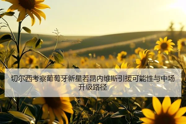 切尔西考察葡萄牙新星若昂内维斯引援可能性与中场升级路径